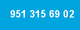 951 315 69 02